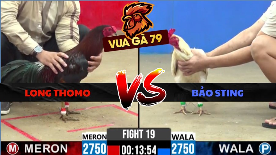 TRẬN XỔ 19 CPC2 NGÀY 20/5/2026