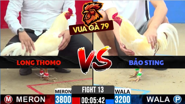 TRẬN XỔ 13 CPC2 NGÀY 30/5/2026