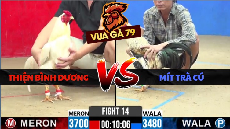 TRẬN XỔ 14 CPC2 NGÀY 30/5/2026