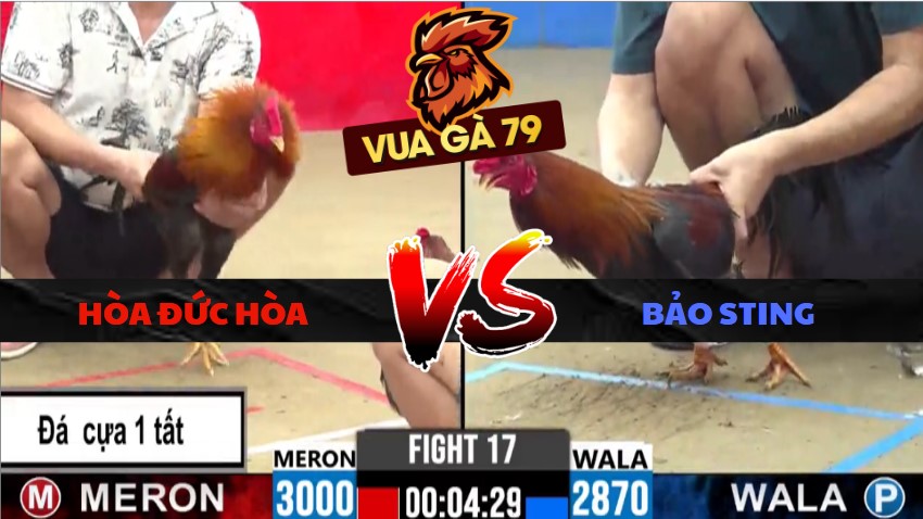 TRẬN XỔ 17 CPC2 NGÀY 27/5/2026