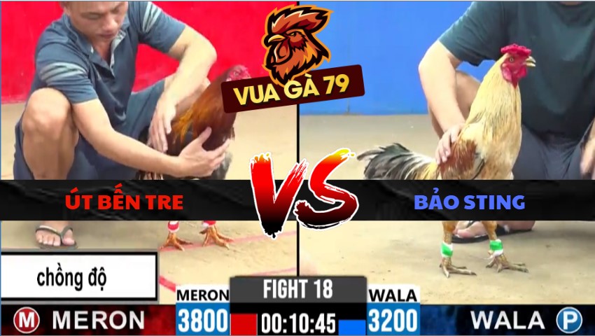 TRẬN XỔ 18 CPC2 NGÀY 27/5/2026