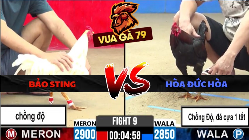 TRẬN XỔ 9 CPC2 NGÀY 27/5/2026