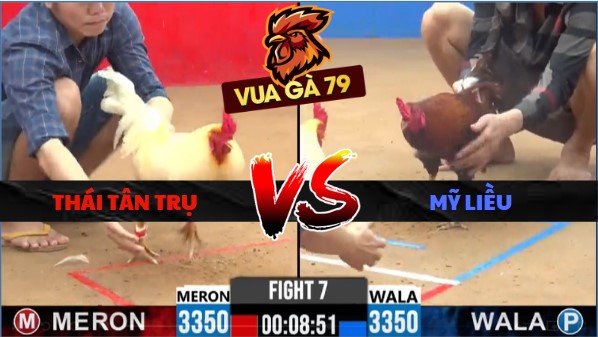 TRẬN XỔ 7 CPC2 NGÀY 11/6/2026